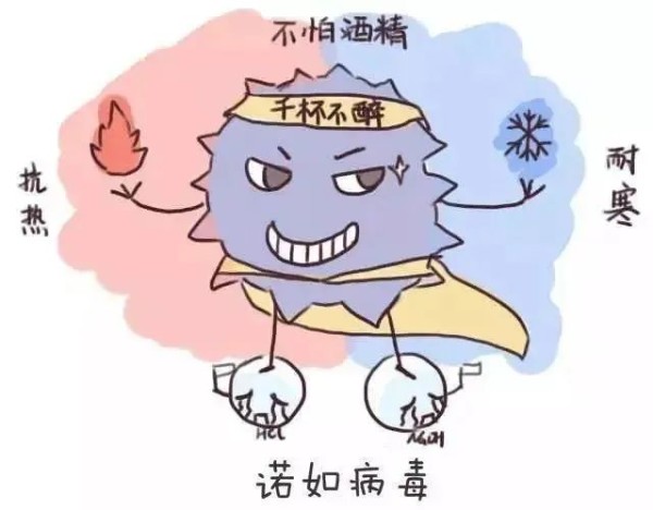 【温岭市级机关幼儿园】防病毒 护健康——诺如病毒预防小贴士-幼师课件网第4张图片