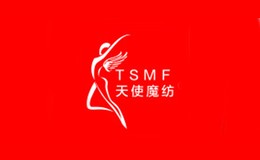 除尘垫十大品牌-天使魔纺