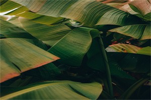 家长教育孩子的正确方法