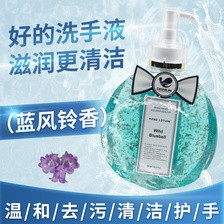 蒂诗琳（DISHILIN）花香洗手液家用香氛玫瑰花瓣留香蓝风铃大地香