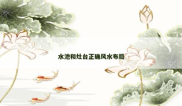 水池和灶台正确风水布局