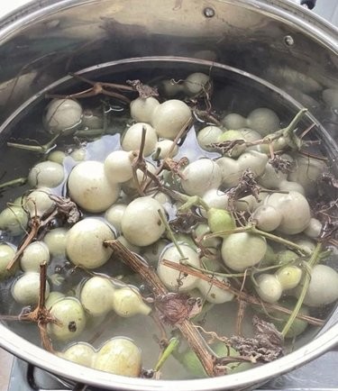 …葫芦娃…葫芦娃…