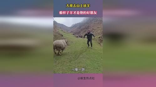 大哥去山上放羊，看样子羊才是他的好朋友