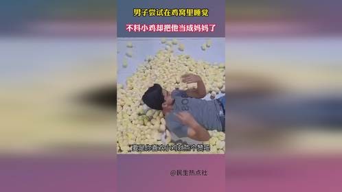 男子尝试在鸡窝里睡觉，不料小鸡却把他当成妈妈了