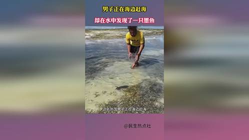 男子正在海边赶海，却在水中发现了一只墨鱼