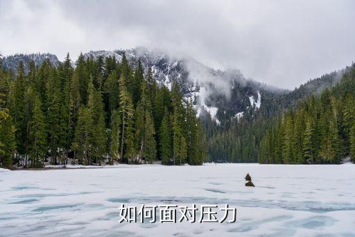 如何面对压力