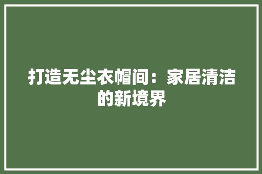 打造无尘衣帽间：家居清洁的新境界 室内设计