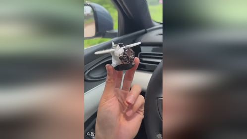 同志们王牌飞行员申请出战