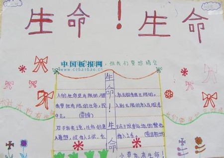 生活生命生存手抄报