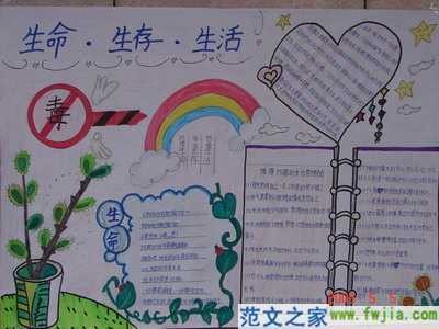 要学会生存的手抄报 生存的环境手抄报
