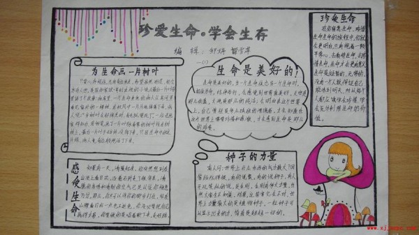 生活生命生存手抄报