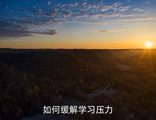 如何缓解学习压力