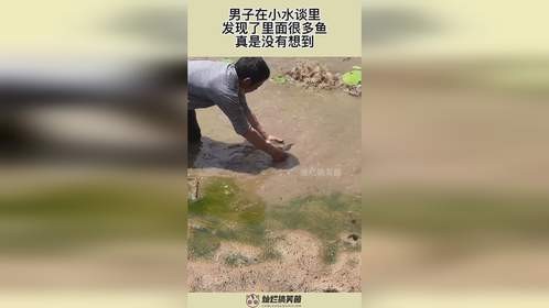 男子在小水谈里，发现了里面很多鱼，真是没有想到