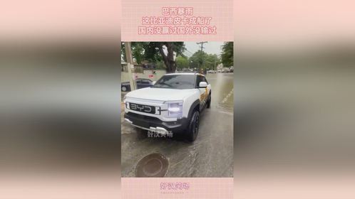 巴西暴雨，这比亚迪皮卡成船了，国内没赢过国外没输过