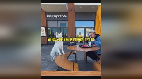 流浪汉用身上仅有的钱喂饱了狗狗流浪汉用身上仅有的钱喂饱了狗狗