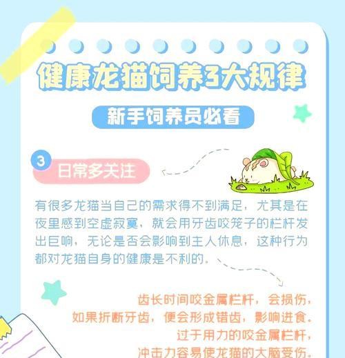 买龙猫怎么挑健康的猫粮？如何选择适合龙猫的健康猫粮？