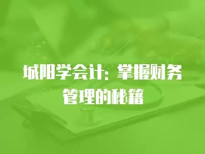 城阳学会计: 掌握财务管理的秘籍