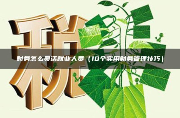 财务怎么灵活就业人员（10个实用财务管理技巧）