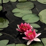 一一