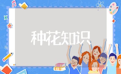 种花知识大全与技巧 怎样养花才能又茂盛又好