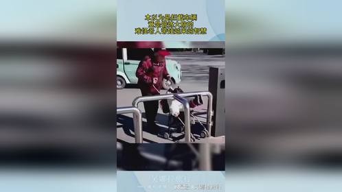 本以为是拦截车辆，竟是锻炼大脑的，难怪老人带娃越来越智慧