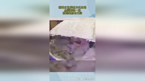 新娘以这样的方式出场，全国都独一份，新郎的脸色已绿！