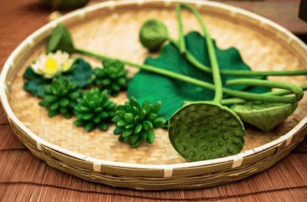 科学素食怎么吃? 成为素食者之前 必须解决营养问题