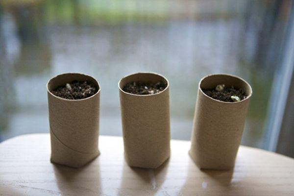 废旧物再利用项目 用卫生纸筒DIY手工创意制作的个性物品图片教程 第5张