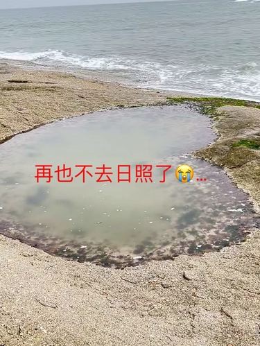 日照真实现状准备来日照的先stop 