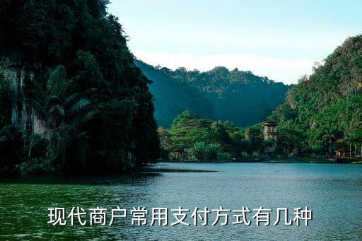 现代商户常用支付方式有几种