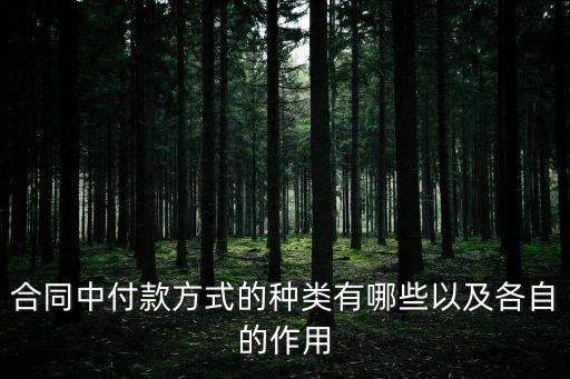 合同中付款方式的种类有哪些以及各自的作用
