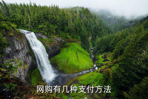 网购有几种支付方法