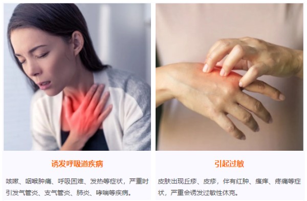 霉菌有害健康