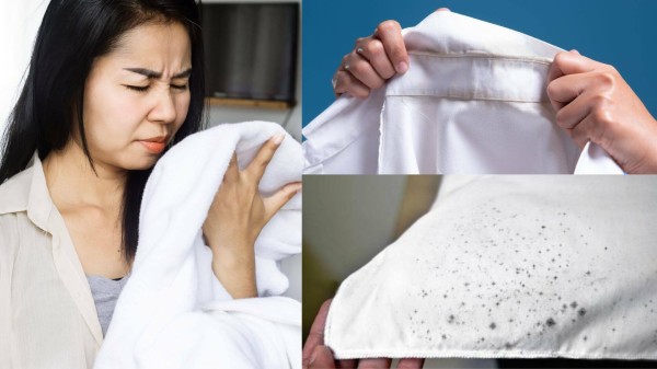 如何判斷衣服發霉了