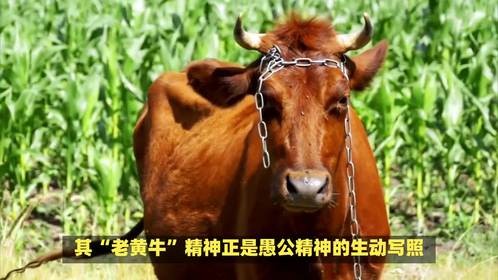 愚公移山代表什么生肖，这问题真有文化底蕴！