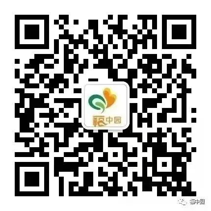 【经典啃读】第六期——一日生活中看见《儿童的人格教育》-幼师课件网第20张图片