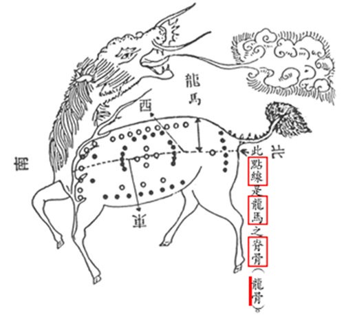 家居风水：养金鱼的风水学问