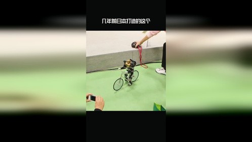 会骑车，刹车，招手，就是不会走路