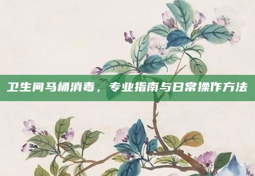 卫生间马桶消毒,专业指南与日常操作方法