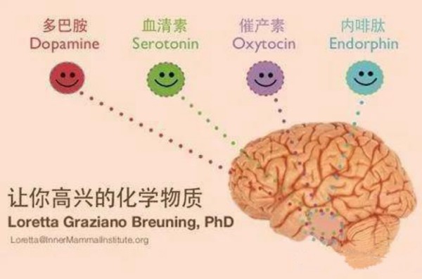 微信图片_20250319145916.png