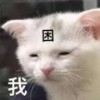 微信图片_20250319145925.png