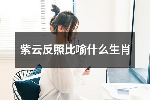 紫云反照比喻什么生肖