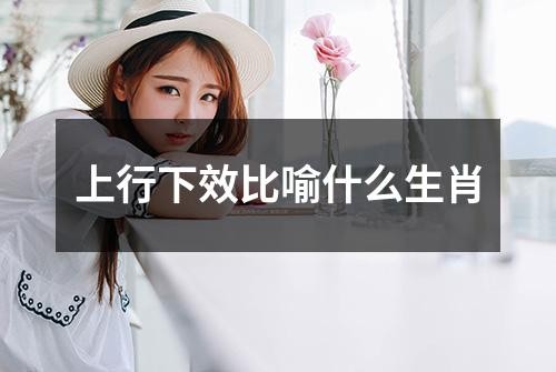 上行下效比喻什么生肖