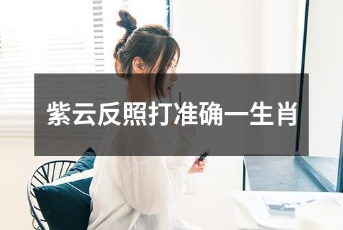 紫云反照打准确一生肖