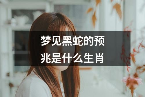 梦见黑蛇的预兆是什么生肖