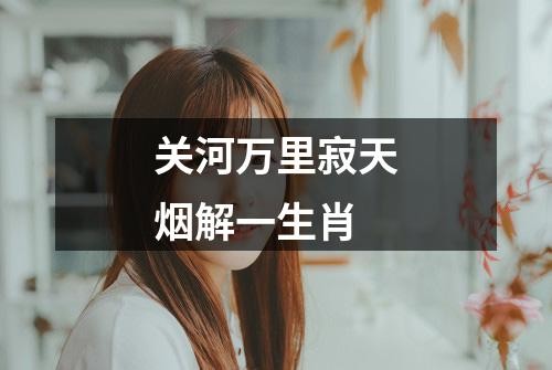 关河万里寂天烟解一生肖