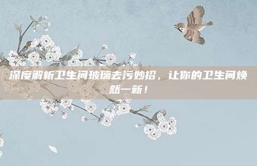 深度解析卫生间玻璃去污妙招,让你的卫生间焕然一新!