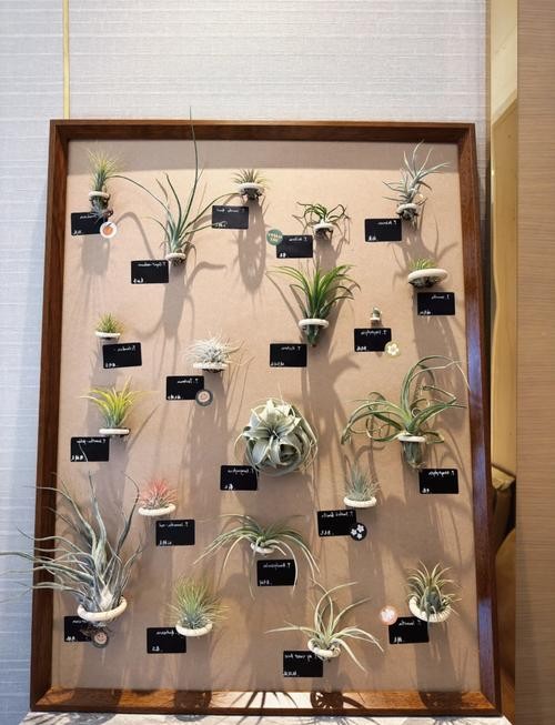 简易自制挂画图片大全