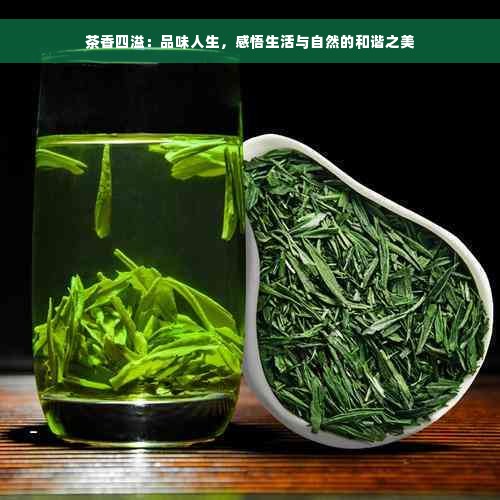 茶香四溢：品味人生，感悟生活与自然的和谐之美