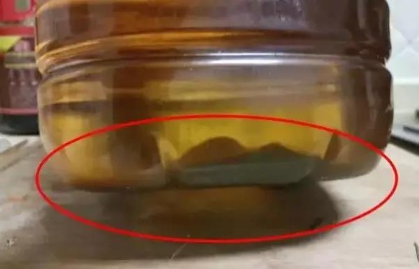 厨房油烟机废油该怎么处理？摸清使用技巧，养花不用掏钱买肥料
